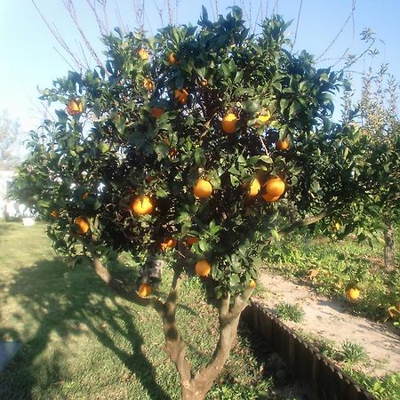 阿泽陶Quinta Da Harmonia公寓 外观 照片