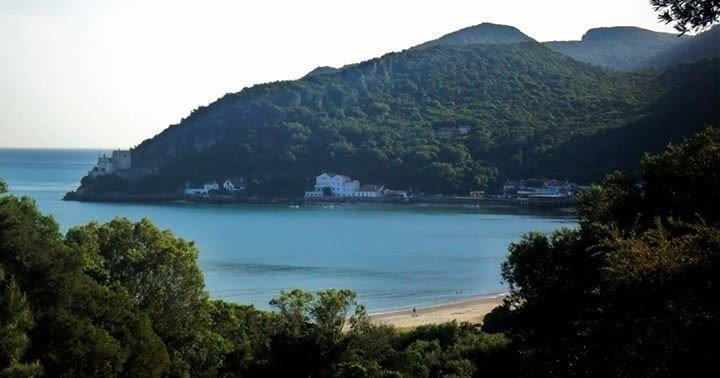 阿泽陶Quinta Da Harmonia公寓 外观 照片