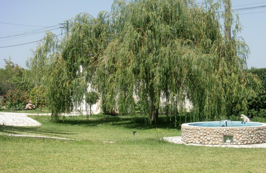 阿泽陶Quinta Da Harmonia公寓 外观 照片