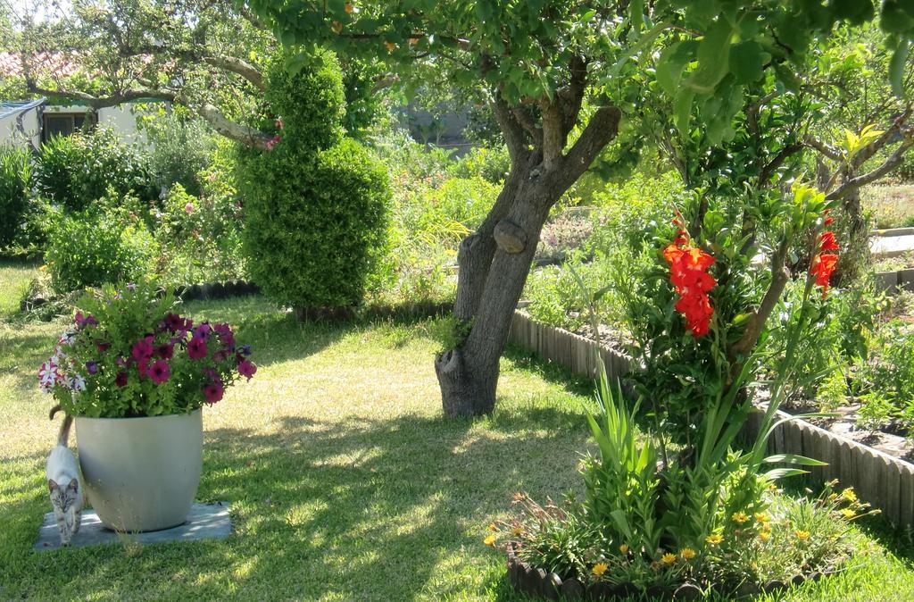 阿泽陶Quinta Da Harmonia公寓 外观 照片