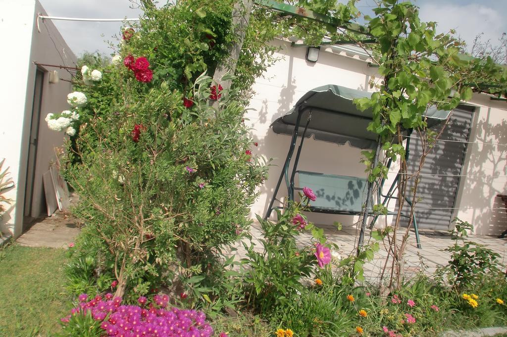 阿泽陶Quinta Da Harmonia公寓 外观 照片